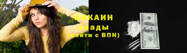 стаф Вязники