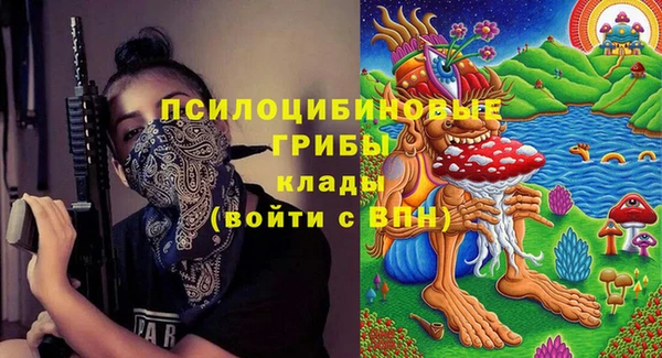 стаф Вяземский